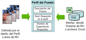 perfiles